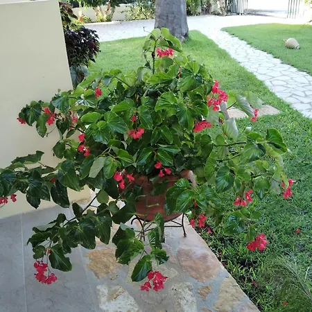 Aspa * Agios Georgios (Corfu)